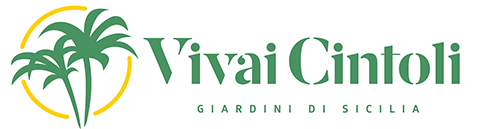 Vivai Cintoli — Giardini di Sicilia